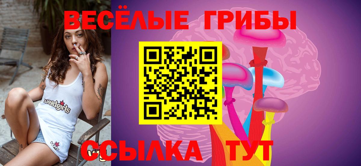 Лесной  Псилоцибиновые грибы Cubensis  Галлюциногенные грибы прущие грибы  Вход с VPN 
